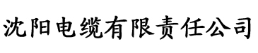 周大壮陪读妈妈的隐情电缆厂logo